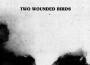 Two Wounded Birds最新歌曲_最熱專輯MV_圖片照片