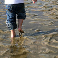 Muddy&nbsp;Waters圖片照片_Muddy Waters