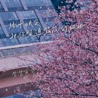 紫禁寅卯樂隊圖片照片_照片寫真