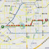 Pyorrhoea圖片照片_Pyorrhoea
