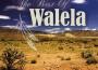 Best Of Walela專輯_WalelaBest Of Walela最新專輯