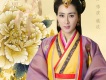 馬蘇圖片照片