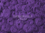 Sommermorgen: Innocence, Pt. 1專輯_Violet ColdSommermorgen: Innocence, Pt. 1最新專輯