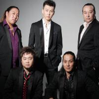 黑駿馬組合圖片照片_黑駿馬組合