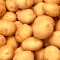 Potito圖片照片_Potito