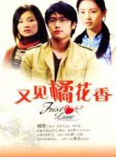 關穎演過的電影電視劇線上看_影視作品大全_好看的明星
