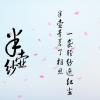 半壺紗
