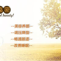 Rooibos歌曲歌詞大全_Rooibos最新歌曲歌詞