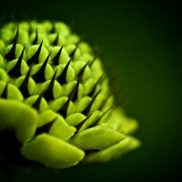 Nature圖片照片_Nature