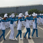 只藍圖片照片
