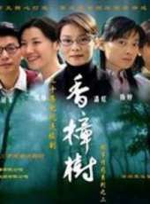 劫中劫線上看_全集高清完整版線上看_分集劇情介紹_好看的電視劇