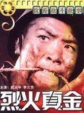 趙汝平演過的電影電視劇線上看_影視作品大全_好看的明星