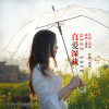 淺笑歌曲歌詞大全_淺笑最新歌曲歌詞