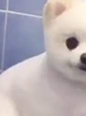 萌次元最新一期線上看_全集完整版高清線上看_好看的綜藝