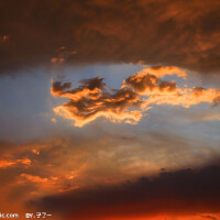 龍雲圖片照片_龍雲