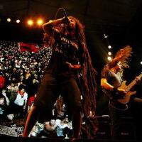 Shadows fall圖片照片_Shadows fall