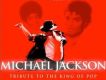 Tribute To The King