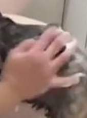 萌次元最新一期線上看_全集完整版高清線上看_好看的綜藝
