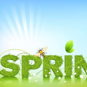 spring碌卡最新歌曲_最熱專輯MV_圖片照片