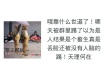 不一樣的聖誕惡搞圖片照片_不一樣的聖誕惡搞