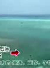 金炳萬的叢林法則最新一期線上看_全集完整版高清線上看_好看的綜藝
