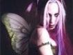 Emilie Autumn歌曲歌詞大全_Emilie Autumn最新歌曲歌詞
