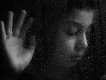 The Rain圖片照片_The Rain