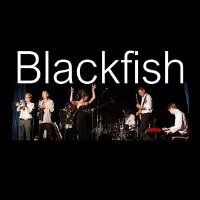 Blackfish圖片照片_Blackfish