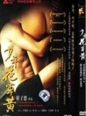 鄧紫衣演過的電影電視劇線上看_影視作品大全_好看的明星