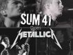 Sum 41歌曲歌詞大全_Sum 41最新歌曲歌詞