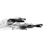Drone Logic專輯_Daniel AveryDrone Logic最新專輯