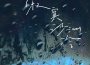 WiFi歪歪歌曲歌詞大全_WiFi歪歪最新歌曲歌詞