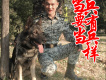 五龍聖境歌詞_李建科五龍聖境歌詞