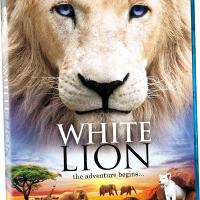 White Lion圖片照片_White Lion