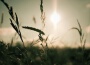Silencyde最新歌曲_最熱專輯MV_圖片照片