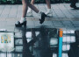 Moonlight Miracles專輯_CeruleanceriseMoonlight Miracles最新專輯