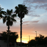 sunshine state圖片照片_sunshine state