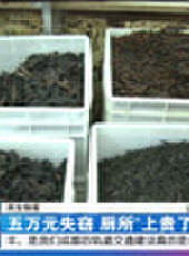 成都全接觸最新一期線上看_全集完整版高清線上看 - 蟲蟲綜藝