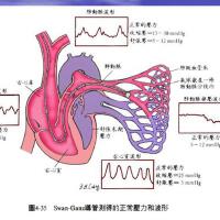 GANZ最新歌曲_最熱專輯MV_圖片照片