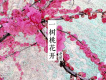 一樹桃花開