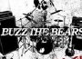 BUZZ THE BEARS