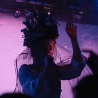 Young Wonder圖片照片_Young Wonder
