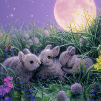 Moonbabies圖片照片_Moonbabies