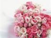 Valentine s Day歌曲歌詞大全_Valentine s Day最新歌曲歌詞