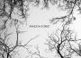Random Forest