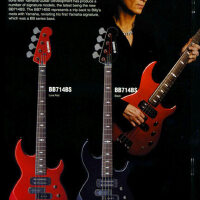 Billy Sheehan圖片照片_Billy Sheehan