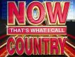 Now That s What I Ca