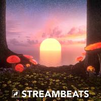 StreamBeats by Harris Heller個人資料介紹_個人檔案(生日/星座/歌曲/專輯/MV作品)