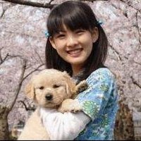 日本電影狗狗與我的十個約定圖片照片_日本電影狗狗與我的十個約定