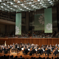 The DeIano Orchestra圖片照片_The DeIano Orchestra